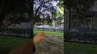 Сочи, в центре пыль столбом.. или зачем пылесос - потерпят...