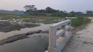 বিকেল বেলা বিলের ধারে