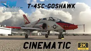 Microsoft Flight Simulator 2020 - T-45C Training Flight