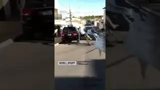 APENAS UM RETARDADO FAZENDO BURRICE 🤣😂🔥#shorts
