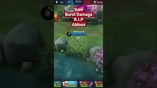 Vale Burst Damage, Vale Damage Build, Vale Build, Vale Guide. 