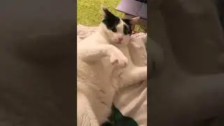 Мишаняяя 🥰