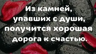 Что Вас удивит?🤔