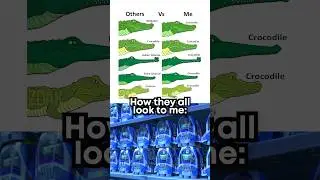 I can’t tell the difference 😭