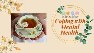 In2MedSchool : Coping with Mental Health during Medical School Application Process