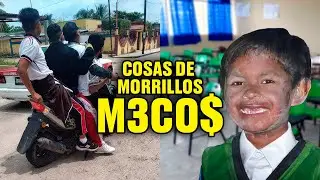 5 COSAS QUE HACE EL MORRO MECO