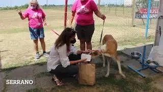 29a entrega 03.07.21