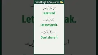 Daily Use Short English Sentences with Urdu and Hindi Translation | English Studies