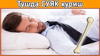 Тушда СУЯК куриш туш таьбири || Tushda SUYAK ko'rish tush tabiri