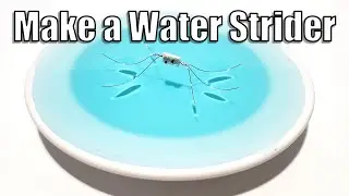 Make a Water Strider - STEM Activity