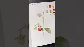 Day 19 Botanical accuracy 
