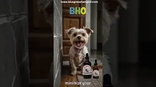 Dog Anxiety At Night | CBD Oil for Pets Addressing Dog Anxiety at Night