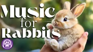 Magic Music for Rabbits - Instantly Soothing Anti-Anxiety Lullabies 🐰