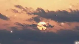 Казак 2020  ￼