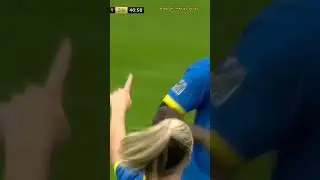 Гол Кларенса Зеедорфа ,,,