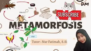 Metamorfosis | Materi IPA SMP
