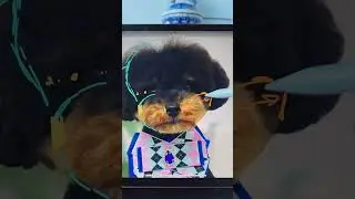 Подробности по ссылке в комментариях 👇🏽