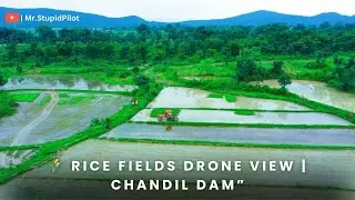 “Unseen Jharkhand Beauty 🌄 Chandil Dam Rice Fields Drone Cinematic”