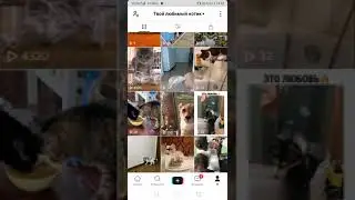 КАК СТАТЬ ПОПУЛЯРНЫМ В ТИКТОКЕ В 2О21 году?!