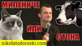 Милениче или стока | Никола Тодороски | Стендап Шоу