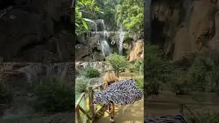 the most beautiful place on earth