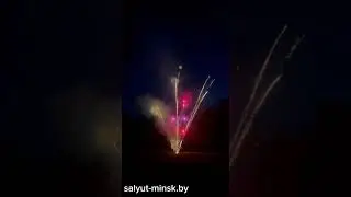 23 июля 2024 г.