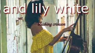 Wildlight - Lily Moon (Isaac Chambers ft. Jarrod Brereton Remix) Lyrics