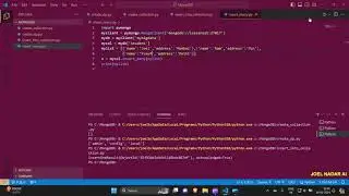 MongoDB with Python
