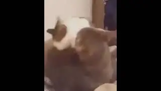 aahhhhh