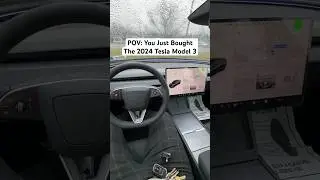 POV: You Just Bought The 2024 Tesla Model 3! #tesla