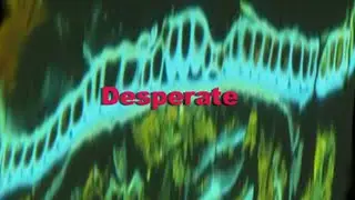 (FREE) R&B Type Beat “Desperate” Heavy Funk Rock Type Beat Rock/Funk/R&B/Soul Instrumental