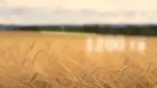 Мишкинские пряники