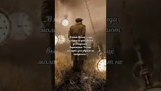 Цитата 