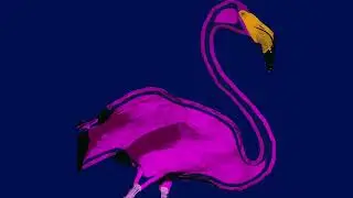 NEAT - Flamingo