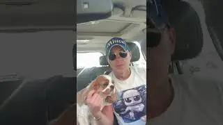 Анекдот. Поэтично...