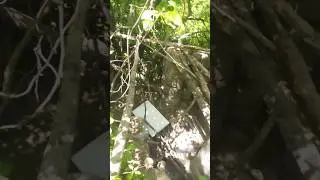 укрпеление бомжей в лесу