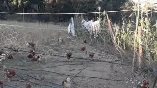 Kayıp Video Bulundu