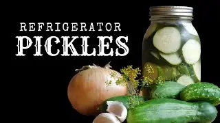 Easy Refrigerator Pickles | Preserving Cucumbers | Old Fashioned Dill Pickle Recipe | Half Sour