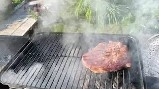 Тест Weber goanywhere. Жарим рибай