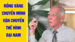 Rồng Vàng Chuyển Mình, Vận Chuyển Thế Hình Đại Nam