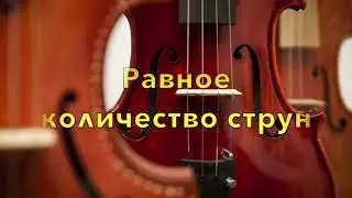 Скрипка или Виолончель! Что общего? Сравним🎻