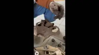 Дефектовка коробки передач (КПП) PowerShift (6DCT250) Ford Focus 3