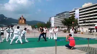 Taekwondo Martial Arts Demonstration