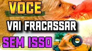 DESCUBRA AS 2 CARACTERÍSTICAS PARA TER SUCESSO EM QUALQUER NEGÓCIO (Hábitos de pessoas produtivas)