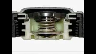 Engine Cooling System