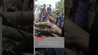 berita viral, Di Timpa Pohon Kakek Ini Tetap Santuy
