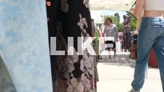 Schmorgle - Hello (Official Lyric Video)