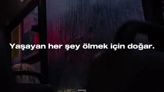 Kxllswxtch - WASTE (Türkçe Çeviri)