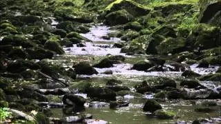 Dystertid - Am Quellbach