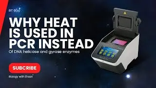 BIT :6(a) |why heat is used in PCR instead of helicase and gyrase enzymes